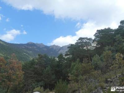 Pino de la Cadena (Valle de Siete Picos, Sierra de Guadarrama); campamentos de niños plano de comuni